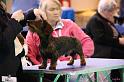 Crufts2011_2 558